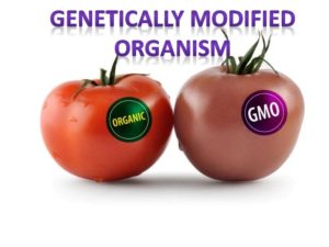 genetically-modified-organisms-issues-regarding-labelling-1-638